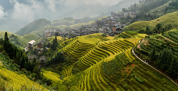 EduDreams - Vietnam EduDreams - Vietnam